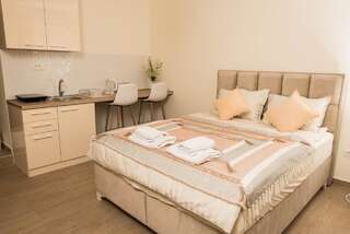 Апартаменты Studio apartment Vukcevic 2 Подгорица Апартаменты с 1 спальней-2