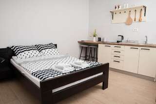 Апартаменты Studio apartment Vukcevic 2 Подгорица Апартаменты с 1 спальней-15